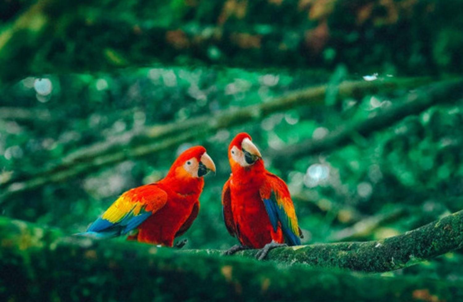 Barra Bonita Pousada Bonito  Ngoại thất bức ảnh