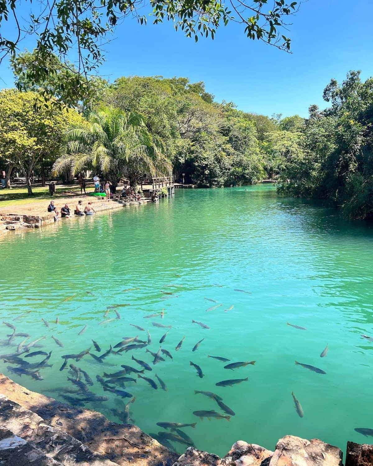 Barra Bonita Pousada Bonito  Ngoại thất bức ảnh